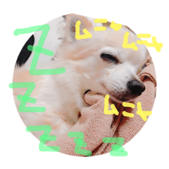 [LINEスタンプ] くうたろーさんstamp