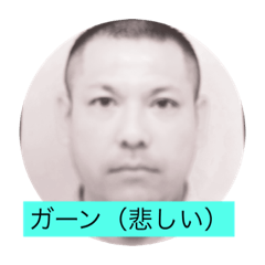 [LINEスタンプ] ぽこたもん
