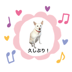 [LINEスタンプ] ウメタンの1日   第2弾 