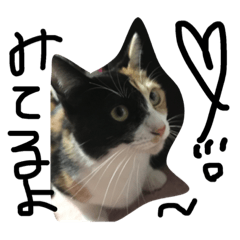[LINEスタンプ] みけねこのちくわ^ ^