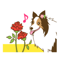 [LINEスタンプ] シェルティちゃんスタンプ 