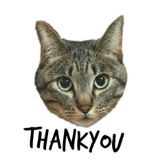 [LINEスタンプ] りんく1