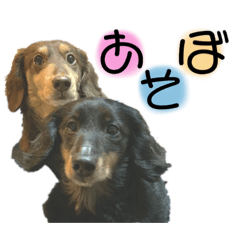 [LINEスタンプ] ごまだいず②
