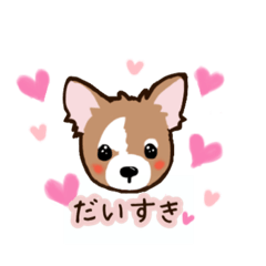 [LINEスタンプ] チワワ のゆうくん 