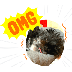 [LINEスタンプ] わんこと少しのイルミ 