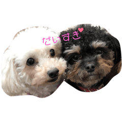 [LINEスタンプ] 松本家わんにゃんたち。
