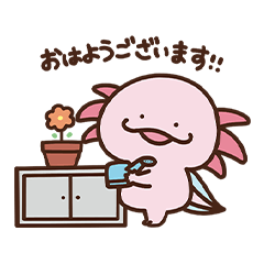 [LINEスタンプ] ウーパールーパーのウパさん敬語でおはなし