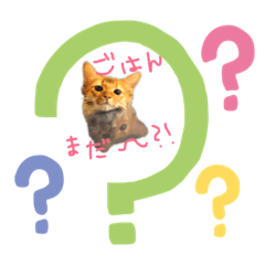 [LINEスタンプ] おソラさんの日時 