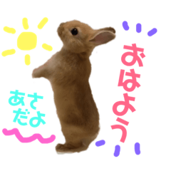 [LINEスタンプ] むぎときなこ