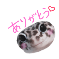 [LINEスタンプ] レオパの"ごまちゃん" 