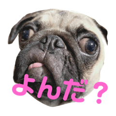 [LINEスタンプ] つむぎすたんぷ。 