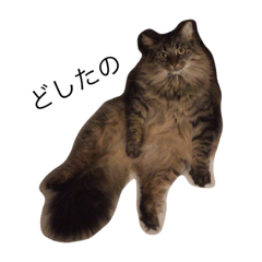 [LINEスタンプ] あたちの日常