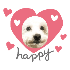 [LINEスタンプ] うちのハニちゃん
