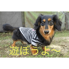 [LINEスタンプ] 可愛いやんちゃ姫