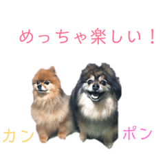 [LINEスタンプ] ポンカンテン