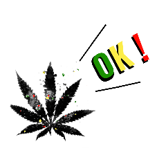 [LINEスタンプ] 夏もみじ stamp