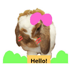 [LINEスタンプ] ロップイヤー王女ムム☆