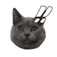 [LINEスタンプ] りんころすたんぷ 