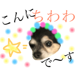 [LINEスタンプ] ゆる〜いチワワわんこ。【ゆる敬語2】