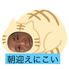 [LINEスタンプ] ネコだーまん