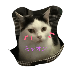 [LINEスタンプ] まるるーん
