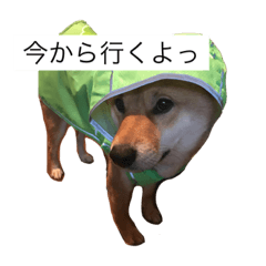 [LINEスタンプ] 靖國スタンプ