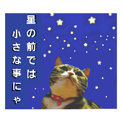 [LINEスタンプ] 桃日々のことだま