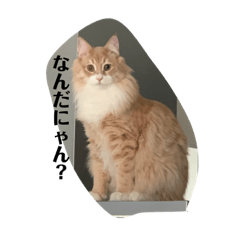 [LINEスタンプ] わたしのジャンくん