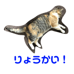 [LINEスタンプ] ちゃこ2