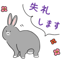 [LINEスタンプ] ゆるっと灰うさぎの敬語