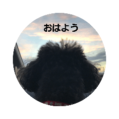 [LINEスタンプ] あいたむ