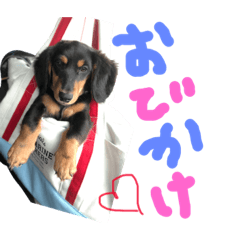 [LINEスタンプ] おじゃる