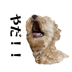 [LINEスタンプ] PecoLulu3