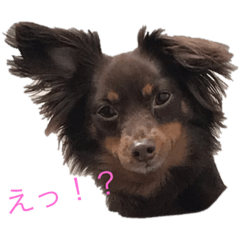 [LINEスタンプ] ミル スタンプ