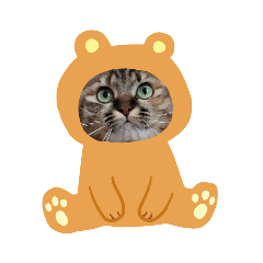 [LINEスタンプ] みゅうとマクスタンプ