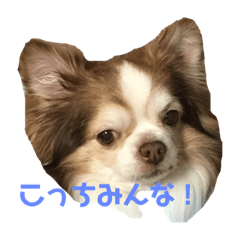 [LINEスタンプ] いろんな タルト 