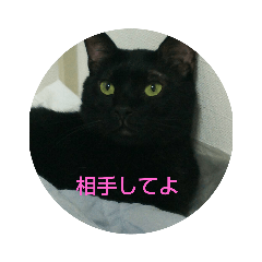 [LINEスタンプ] 黒猫ジジ君キキちゃん 