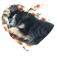 [LINEスタンプ] 人生の3分の1は睡眠 / Life is dreaming.