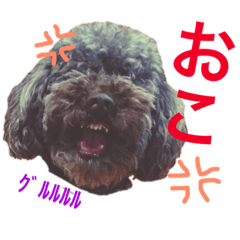 [LINEスタンプ] 前川くうスタンプ 