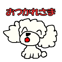 [LINEスタンプ] ふわふわもこもこ！白いトイプードル