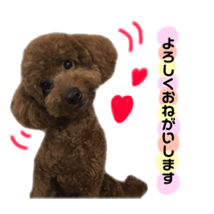 [LINEスタンプ] てっちゃん すたんぷ