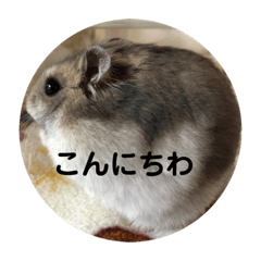 [LINEスタンプ] とろの日常