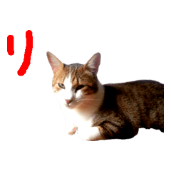 [LINEスタンプ] チョッピー001