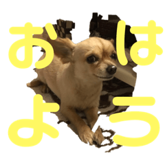 [LINEスタンプ] 萩原 ジョンくん