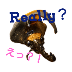 [LINEスタンプ] ヘラクレスオオカブトの気持ち