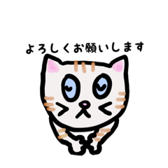 [LINEスタンプ] ねこのごーるでん あいさつスタンプ 
