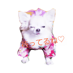 [LINEスタンプ] 来空ちゃん