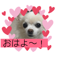 [LINEスタンプ] おすまし ルナ