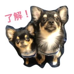 [LINEスタンプ] れのにこ