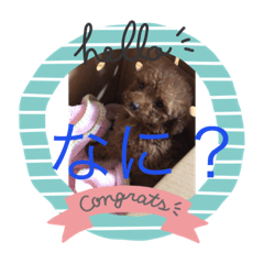 [LINEスタンプ] 私のシェリくん